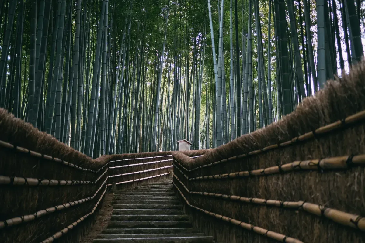 https://api.holicay.com/uploads/large_ea5901b9-webp-susan-q-yin-enx6829GjE0-unsplash.webp