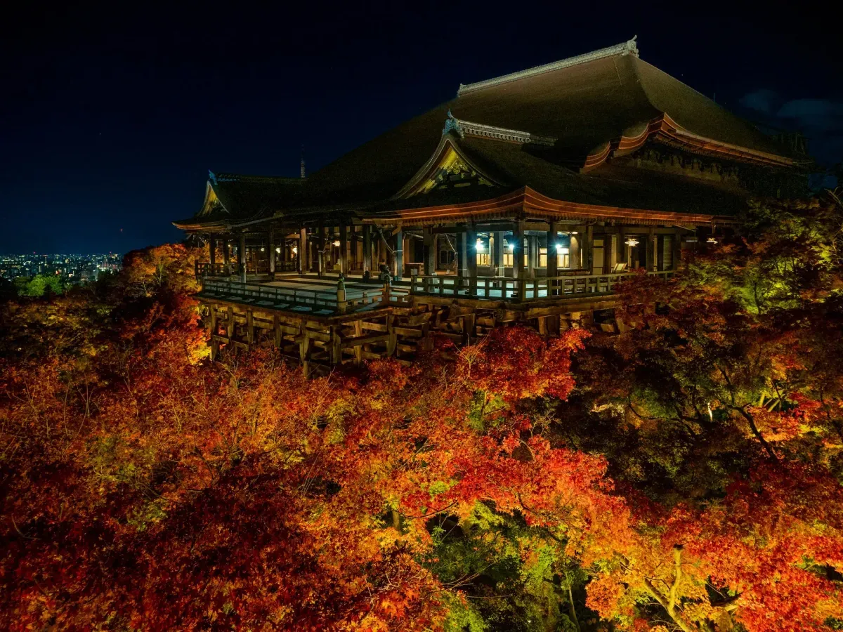 https://api.holicay.com/uploads/large_fd341933-webp-yanghong-yu-MggzbWaMRsg-unsplash.webp