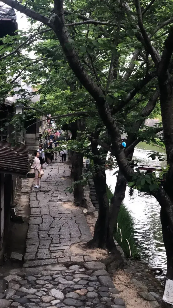 https://api.holicay.com/uploads/large_omihachiman6_e2719ec73e.webp
