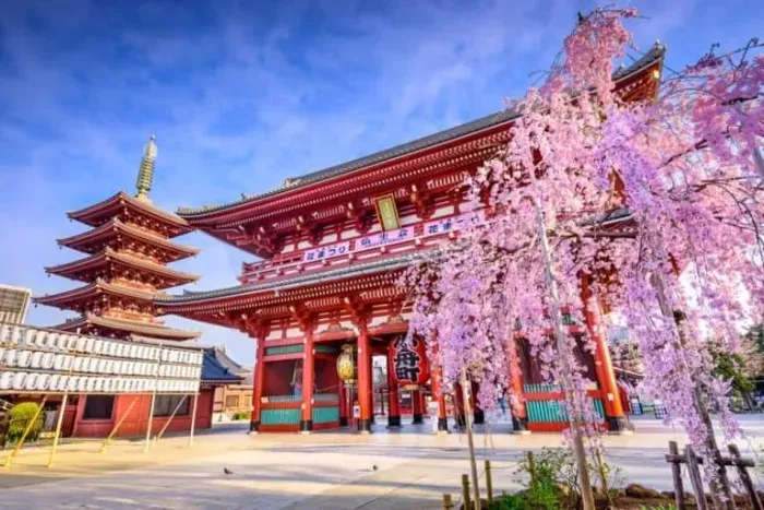 https://api.holicay.com/uploads/medium_28fd29e4-webp-Senso-ji-Shrine-min-768x512.webp