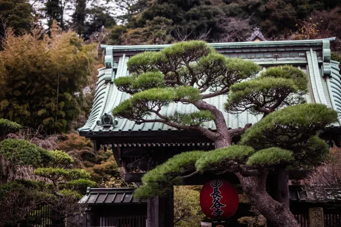 Four Days in Tokyo: A Journey Through the Past and Present of Japan’s Capital