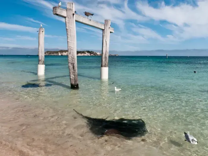 https://api.holicay.com/uploads/medium_HamelinBayCaravanPark21478405366_dc50f5ffb8.webp
