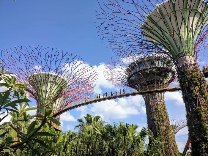 Two Days in Singapore: A Journey Through Culture, Adventure, and Fun