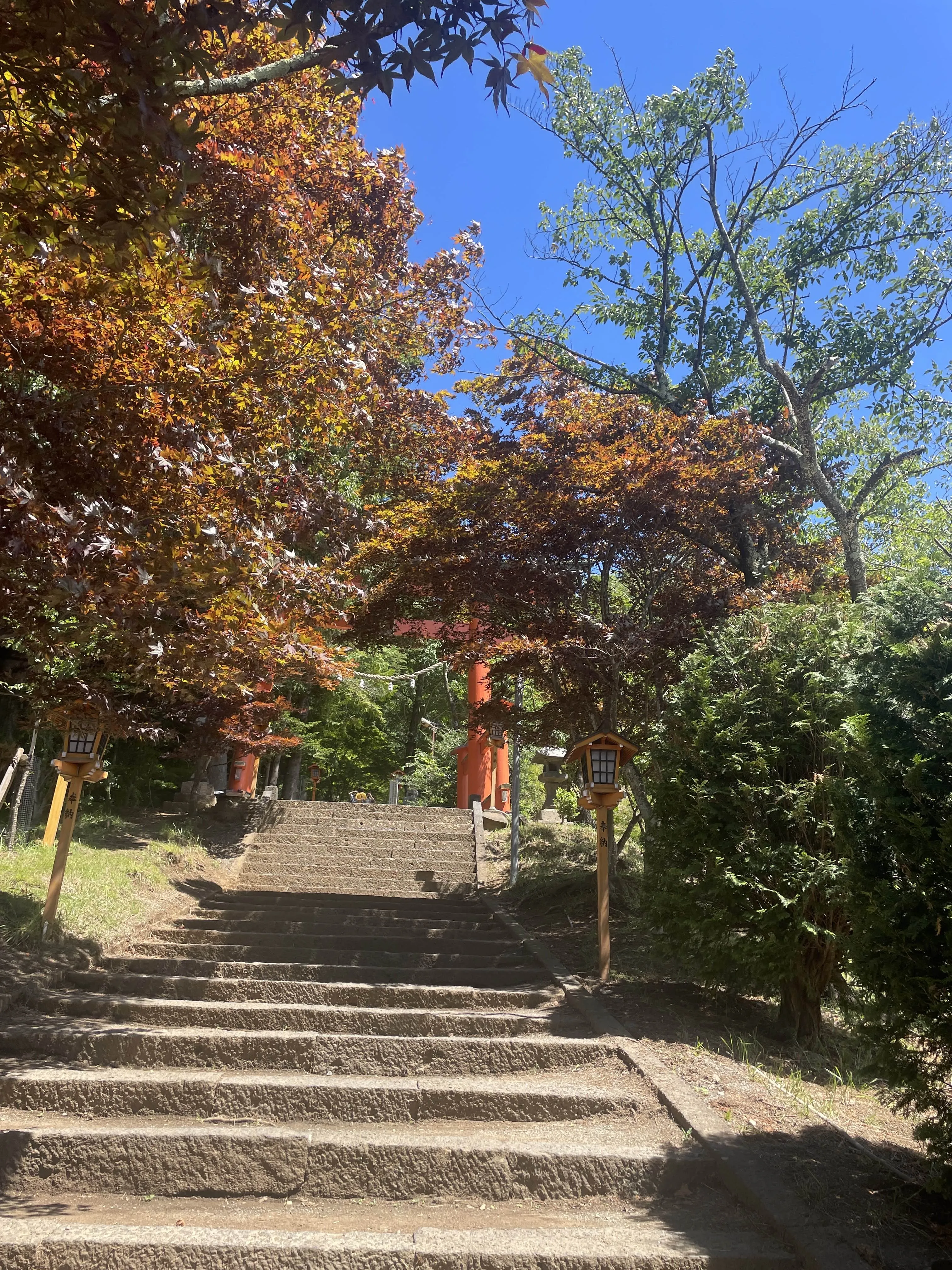 Une journée à Fujikawaguchiko & Fujiyoshida – Vue sur le mont Fuji narkq6