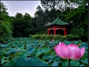 5 Day Taipei Itinerary: Best Route for First-Time Visitors 8olwm9