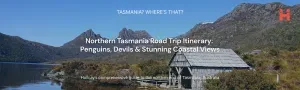 Northen Tasmania Road Trip Itinerary: Penguins, Devils & Stunning Coastal Views